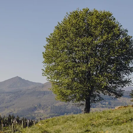 Amalurra Ecohotel & Retreat Center Hotel *