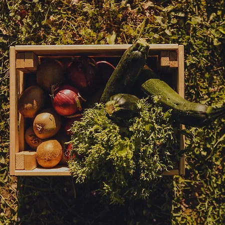 Amalurra Ecohotel & Retreat Center * Laiseca