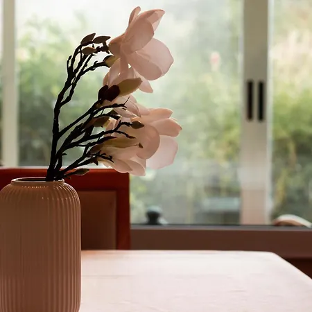 Hotel Amalurra Ecohotel & Retreat Center Laiseca