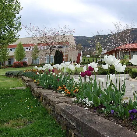 Amalurra Ecohotel & Retreat Center Hotel
