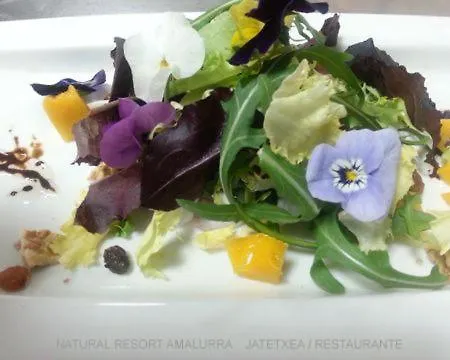 Amalurra Ecohotel & Retreat Center Hotel