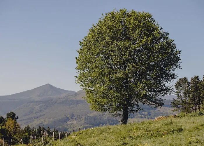 Amalurra Ecohotel & Retreat Center Hotel *