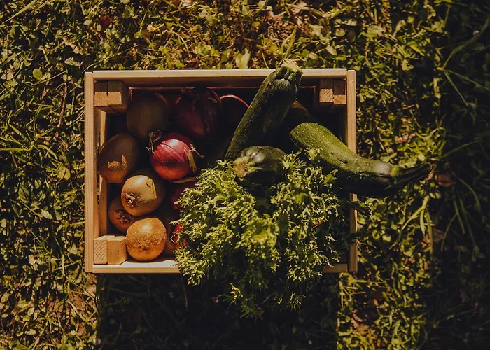 Amalurra Ecohotel & Retreat Center * Laiseca