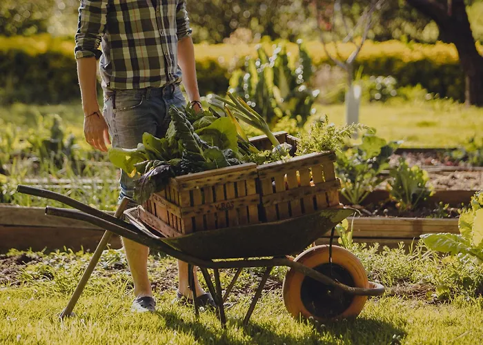 Amalurra Ecohotel & Retreat Center 酒店