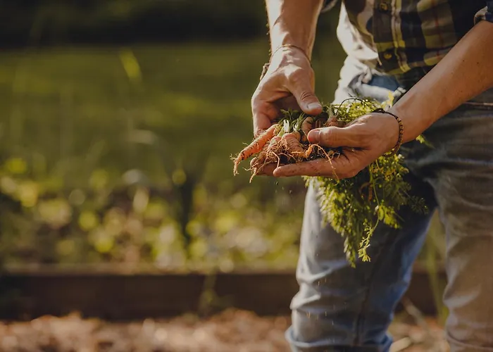 酒店 Amalurra Ecohotel & Retreat Center Laiseca