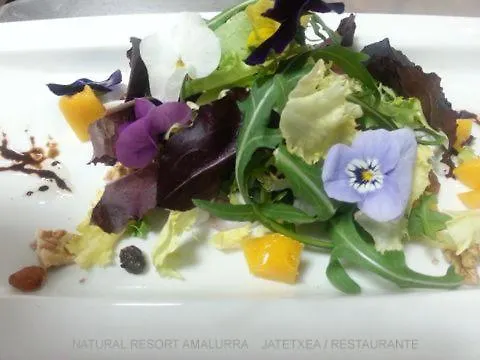 Amalurra Ecohotel & Retreat Center Hotel